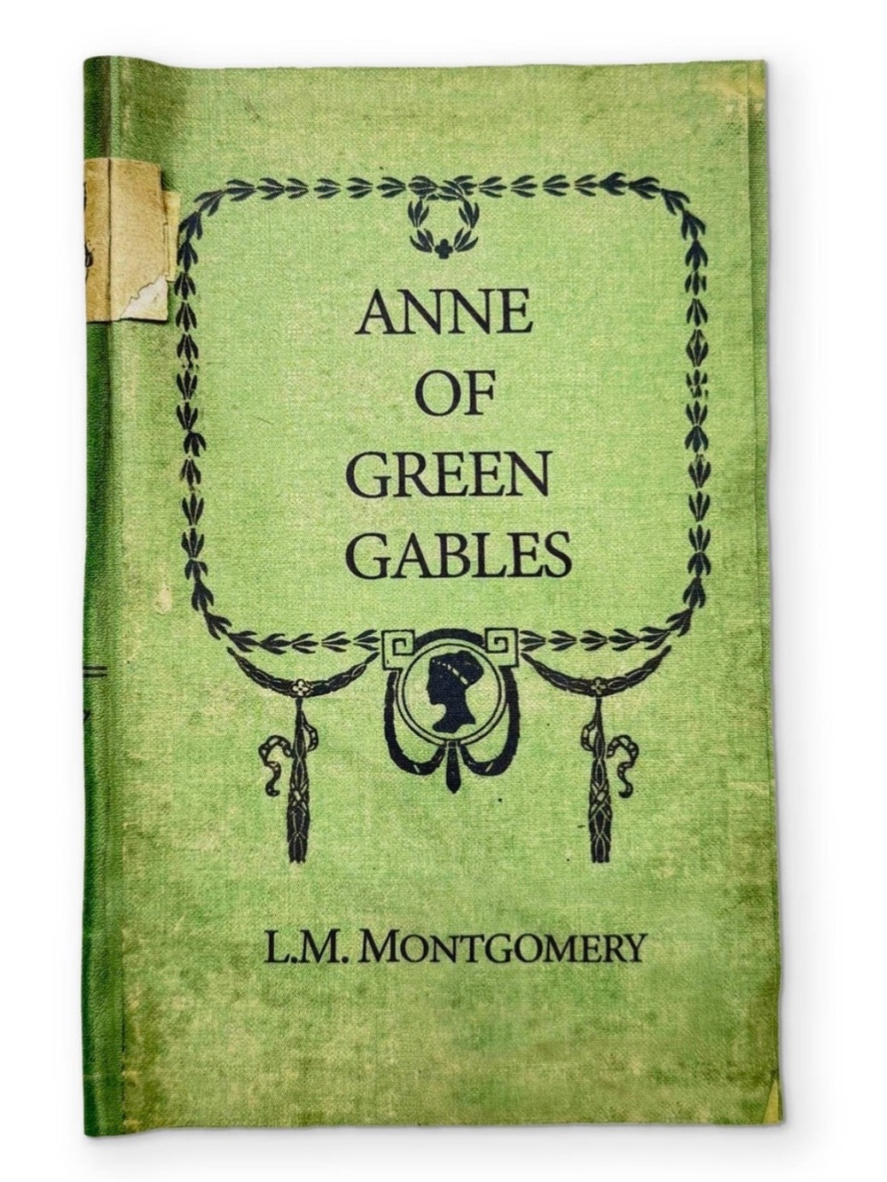 Anne of Green Gables Book Shaped Microfiber Eyeglass Cleaning Cloth Readers